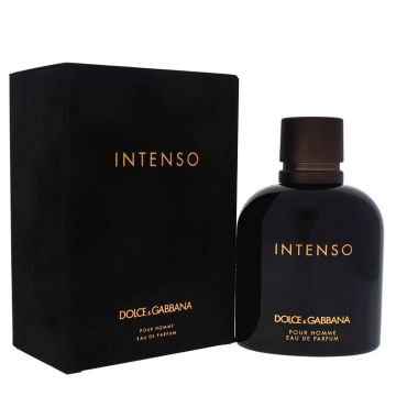 Intenso by Dolce And Gabbana for Men
