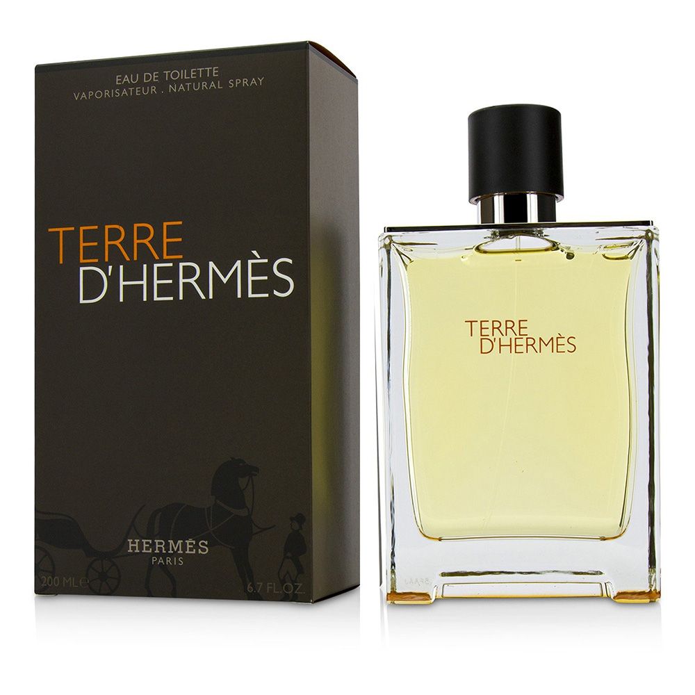 Terre d'Hermes Hermes Perfume